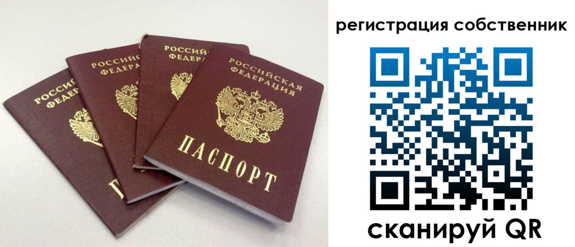 прописка для школы в Шахунье